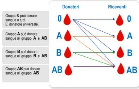 gruppi-sanguigni_page-0001